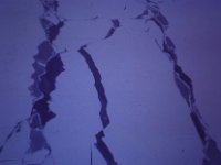 C01B02S0J 01 : 北極, 氷島アーリスⅡ号, 海氷, 開水面