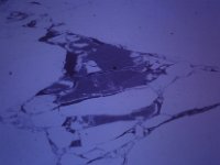C01B02S03 06 : 北極, 氷島アーリスⅡ号, 海氷, 開水面