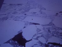 C01B02S03 07 : 北極, 氷島アーリスⅡ号, 海氷, 開水面