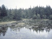 C07B04S03 14 : スウェーデン 北欧調査 酸性湖沼