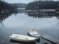 C07B04S03 15 : スウェーデン 北欧調査 酸性湖沼