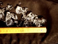 C07B04S08 07 : スピッツベルゲン ノルウェイ 北欧調査 雪結晶