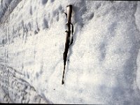 C07B04S10 02 : スピッツベルゲン ノルウェイ 北欧調査 氷河