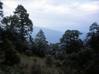 C08B06S20 04 : テインプー・プナカ, ドチョラ, ブータン, 峠, 森林地帯, 積雲