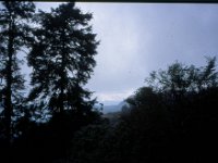 C08B06S20 05 : テインプー・プナカ, ドチョラ, ブータン, 峠, 森林地帯, 積雲
