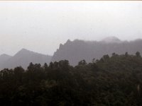 C08B06S23 11 : ブータン, プナカ・ルナナ, 森林地帯, 積雲