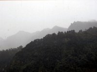 C08B06S23 12 : ブータン, プナカ・ルナナ, 森林地帯, 積雲