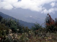 C08B06S26 08 : タンジェ, ブータン, プナカ・ルナナ, 森林地帯, 積雲