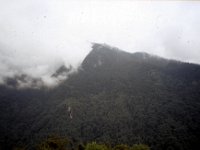 C08B06S26 09 : タンジェ, ブータン, プナカ・ルナナ, 森林地帯, 積雲