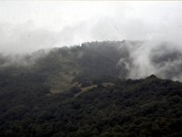 C08B06S26 10 : タンジェ, ブータン, プナカ・ルナナ, 森林地帯, 積雲