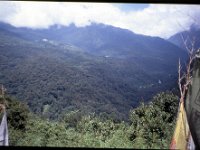 C08B06S27 09 : タンジェ, ブータン, プナカ・ルナナ, 森林地帯, 積雲