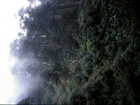 C08B06S29 10 : ブータン, プナカ・ルナナ, モス・フォーレスト, 森林地帯, 積雲
