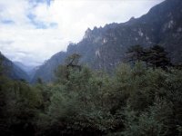 C08B06S30 13 : ブータン, プナカ・ルナナ, 森林地帯, 積雲
