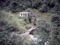 C08B06S31 11 : ブータン, プナカ・ルナナ, 森林地帯, 橋