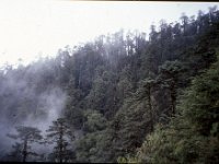 C08B06S32 11 : ブータン, 森林地帯, 積雲