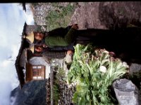 C08B06S37 14 : ガサ, ガサ女性, ブータン, プナカ・ルナナ, 山岳民族, 民家, 竹帽子, 野菜