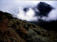 C08B06S41 14 : ブータン, プナカ・ルナナ, ルドフ, 山火事, 放牧地, 積雲