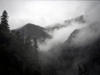 C08B06S42 03 : ブータン, プナカ・ルナナ, ルドフ, 森林地帯, 積雲