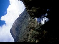 C08B06S42 18 : タキシマカン, ブータン, プナカ・ルナナ, 森林地帯, 積雲