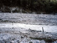 C08B06S60 10 : ブータン, プナカ・ルナナ, ルゲ洪水堆積物, 河川地形, 立木幹