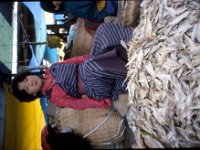 C09B04S58 08 : ティンプー, ブータン, 市場, 干し魚