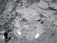 C02B05P01 19 : ガルワール バドリナート 地質