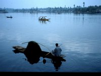 C10B01S23 04 : インド, スリナガール, ダル湖, 水草刈り