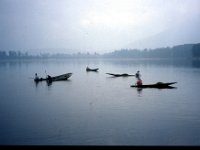 C10B01S23 07 : インド, スリナガール, ダル湖, 水草刈り