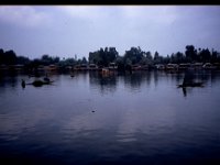 C10B01S24 01 : インド, スリナガール, ダル湖, 水草刈り, 雲