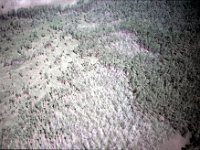 C08B05S17 06 : ウランバートル・ハトガル, モンゴル, 森林破壊, 航空写真
