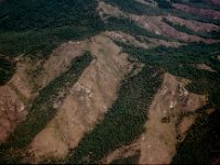 C08B05S19 09 : ウランバートル・ハトガル, モンゴル, 森林破壊, 航空写真