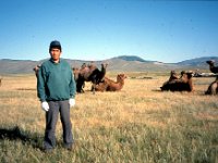 C08B05S37 05 : ツァガノール, モンゴル, ラクダ, 草原