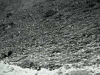 C01B13P06 03 : クンブ ヌプツェ 古土壌 氷河
