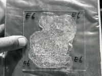 C01B14P02 22 : クンブ 構造 氷河 氷河氷 氷結晶 薄片