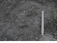 C01B16P02 01 : クンブ ハージュン 古土壌
