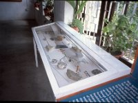 C09B04S12 17 : ポカラ, 自然史博物館