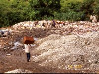 C10B02S22 00012 : ゴミ捨て場, セティ川, ポカラ