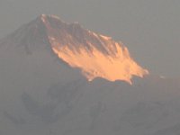 2008 11 05N01 017 : アンナプルナ ポカラ 二峰 朝焼け