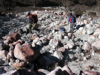 2008 11 24N01 029 : ツラギ氷河調査 第６日目 赤い地衣