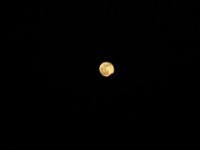 2008 12 13N04 001 : ポカラ 満月