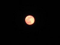 2008 12 13N04 010 : ポカラ 満月