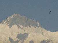 2010 01 09R02 014 : アンナプルナ パハルタルク ポカラ 二峰 四峰