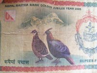 2010 02 22R01 021 : ダンフェ ネパール紙幣 国鳥