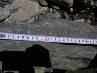 R0014713  R9 : カリガンダキ川, ジャルコット, 化石