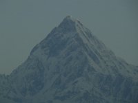 R1058495  Exif JPEG PICTURE : アンナプルナ, タラ・ヒル・トップ, ネパール, ポカラ, マチャプチャリ