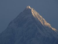 R1058545  Exif JPEG PICTURE : アンナプルナ, タラ・ヒル・トップ, ネパール, ポカラ, マチャプチャリ