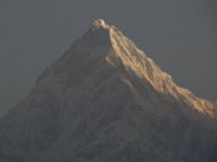 R1058566  Exif JPEG PICTURE : アンナプルナ, タラ・ヒル・トップ, ネパール, ポカラ, マチャプチャリ