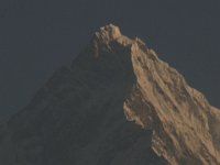 R1058588  Exif JPEG PICTURE : アンナプルナ, タラ・ヒル・トップ, ネパール, ポカラ, マチャプチャリ