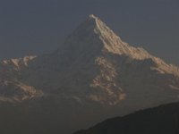 R1058592  Exif JPEG PICTURE : アンナプルナ, タラ・ヒル・トップ, ネパール, ポカラ, マチャプチャリ
