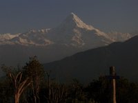 R1058594  Exif JPEG PICTURE : アンナプルナ, タラ・ヒル・トップ, ネパール, ポカラ, マチャプチャリ